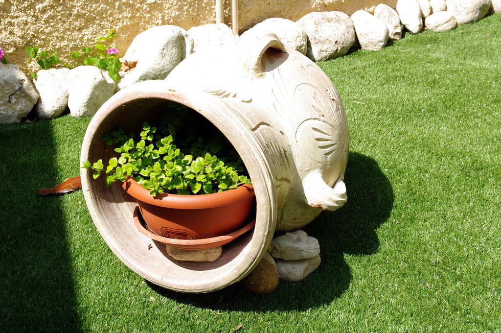Dimora Antica Pianella Bed & Breakfast Pianella  ภายนอก รูปภาพ